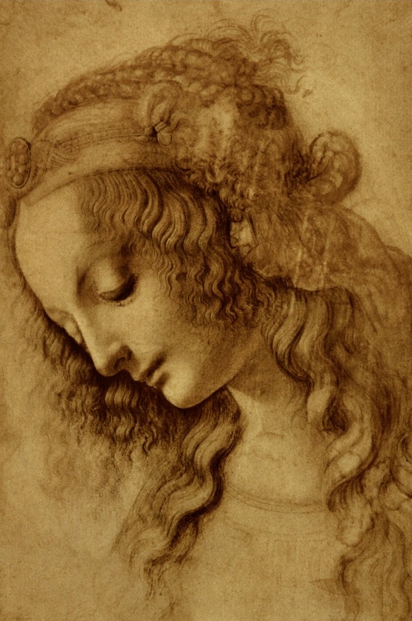 配置文件的女人 作者 达芬奇（Leonardo da Vinci）