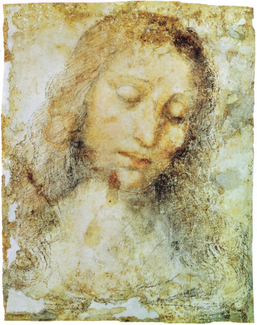 布雷拉画廊 作者 达芬奇（Leonardo da Vinci）