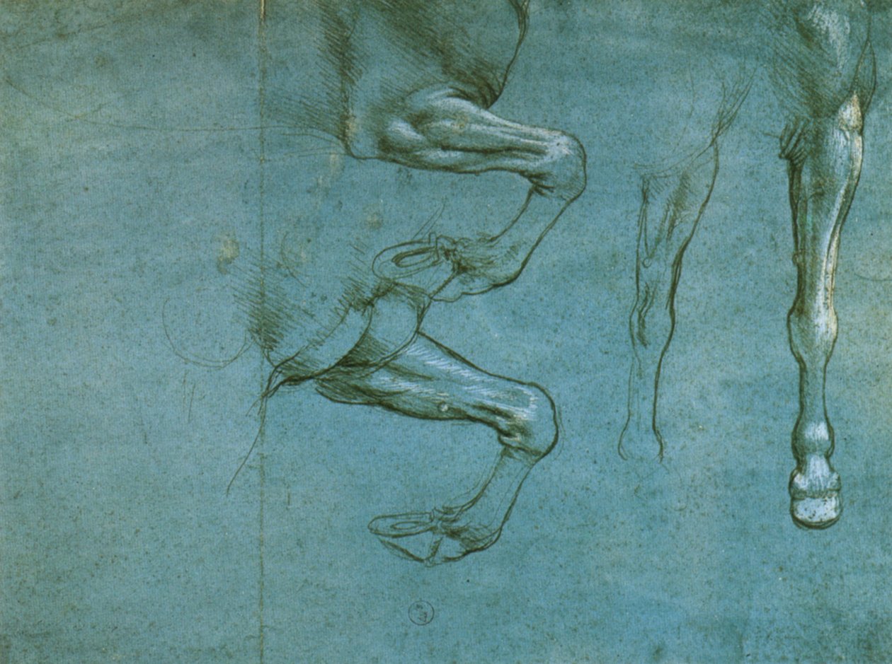 研究马的前腿 作者 达芬奇（Leonardo da Vinci）