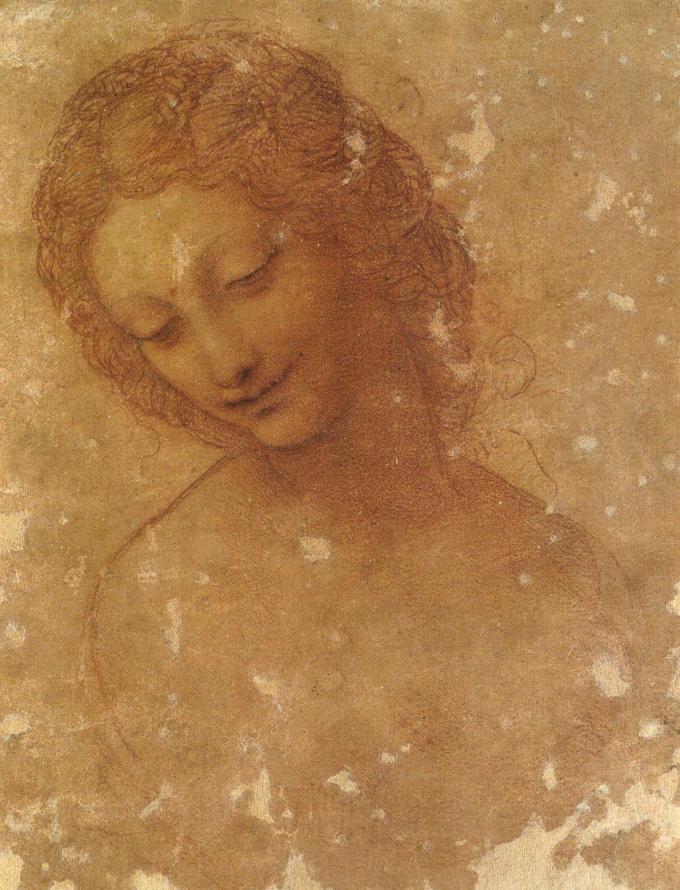 Leda，Castello Sforzesco的负责人 作者 达芬奇（Leonardo da Vinci）