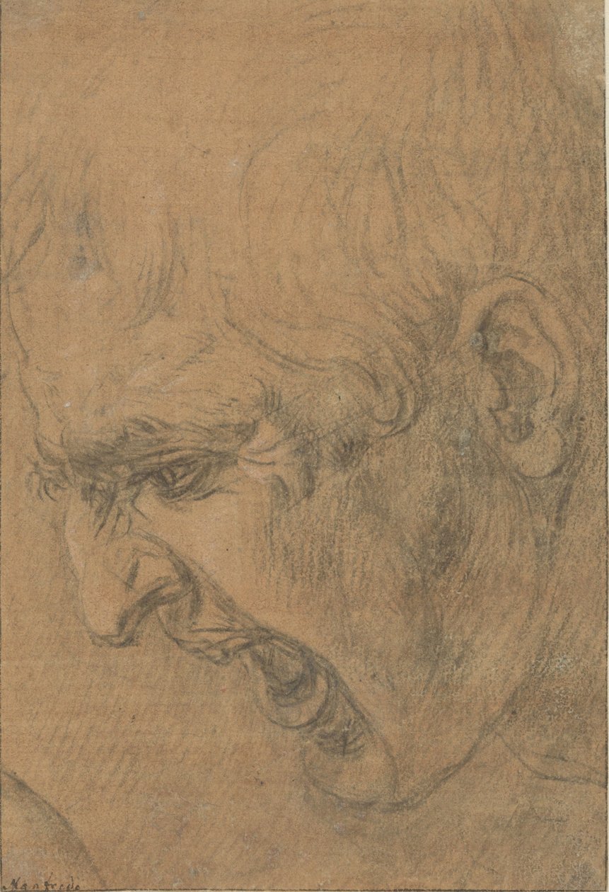 尖叫者的头颅 作者 达芬奇 (Leonardo da Vinci) (追随者)