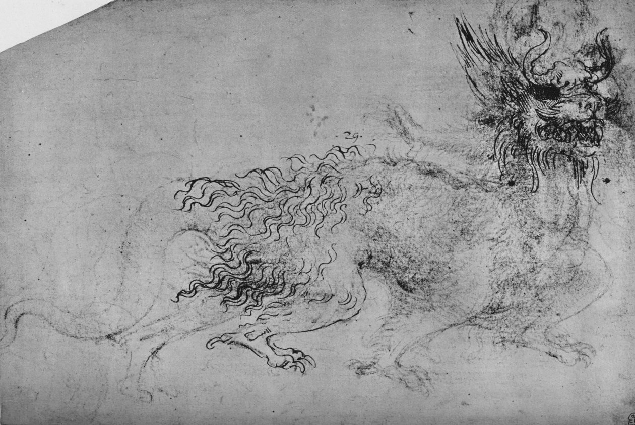 龙，c1480 1945 作者 达芬奇（Leonardo da Vinci）