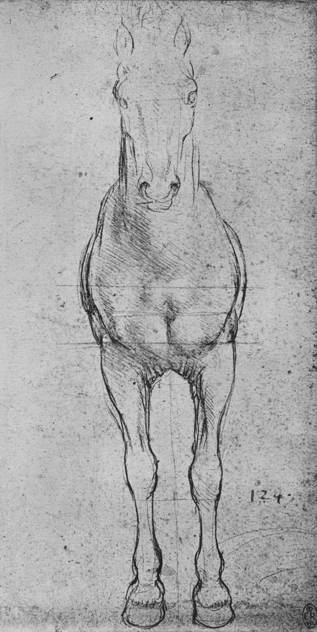 从正面看的马，c1480 1945年 作者 达芬奇（Leonardo da Vinci）