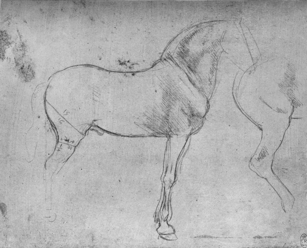 右边的一匹马及其后四分之一，c1480 1945年 作者 达芬奇（Leonardo da Vinci）