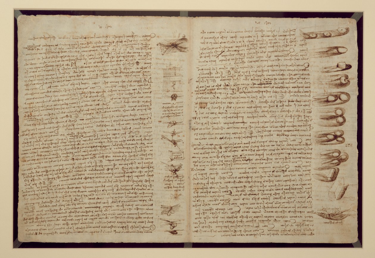 法典莱斯特的一页，1508-12（亚麻纸上的棕褐色墨水） 作者 达芬奇（Leonardo da Vinci）