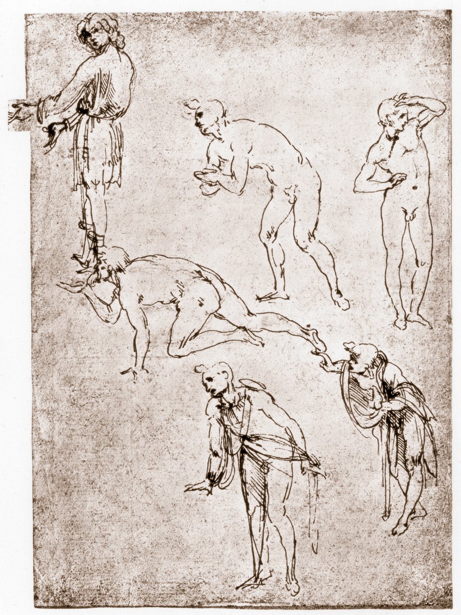 牧羊人的崇拜，c1478-1480。 作者 达芬奇（Leonardo da Vinci）