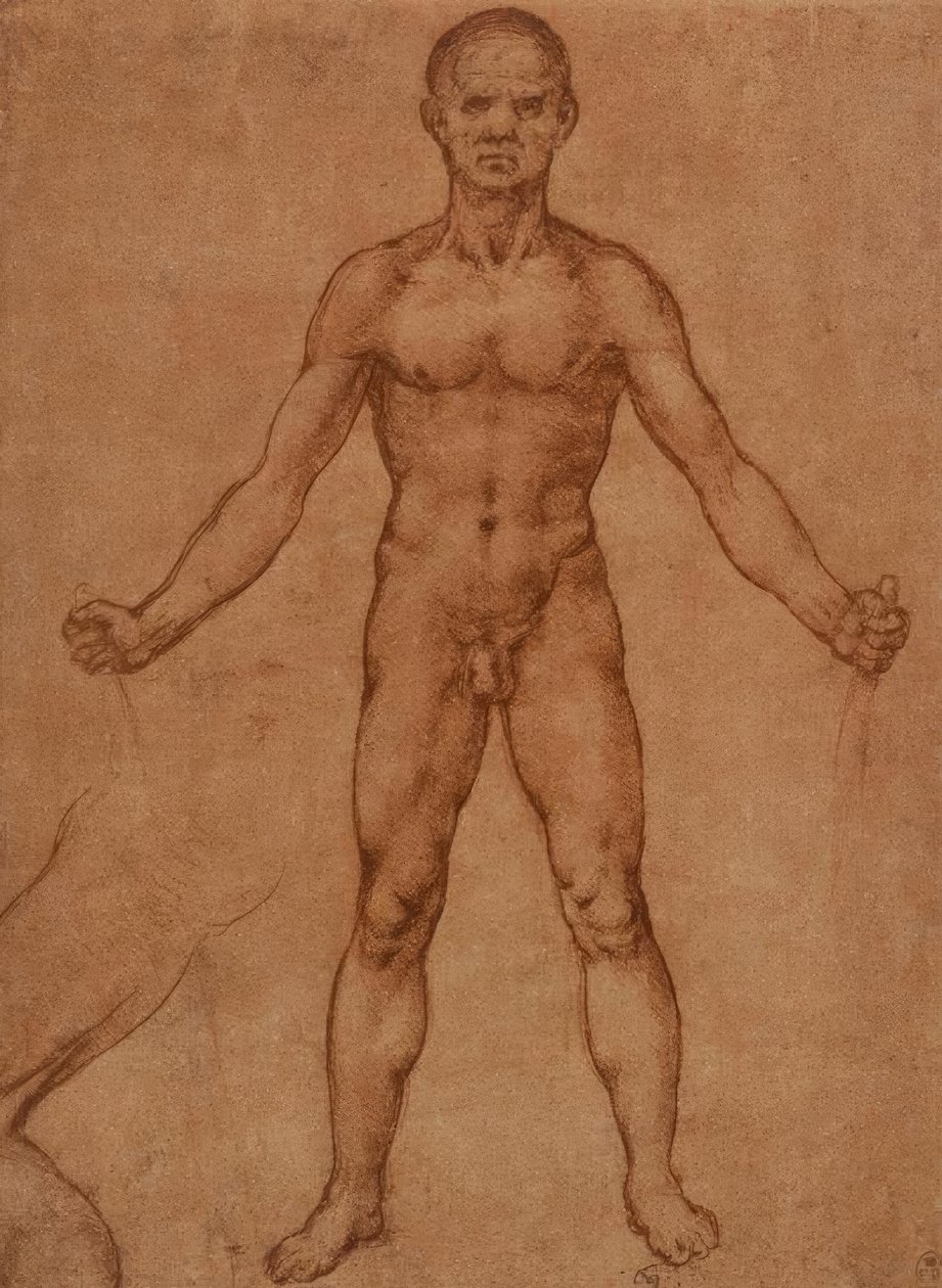 站立男人的裸体研究，正面视图 作者 达芬奇（Leonardo da Vinci）