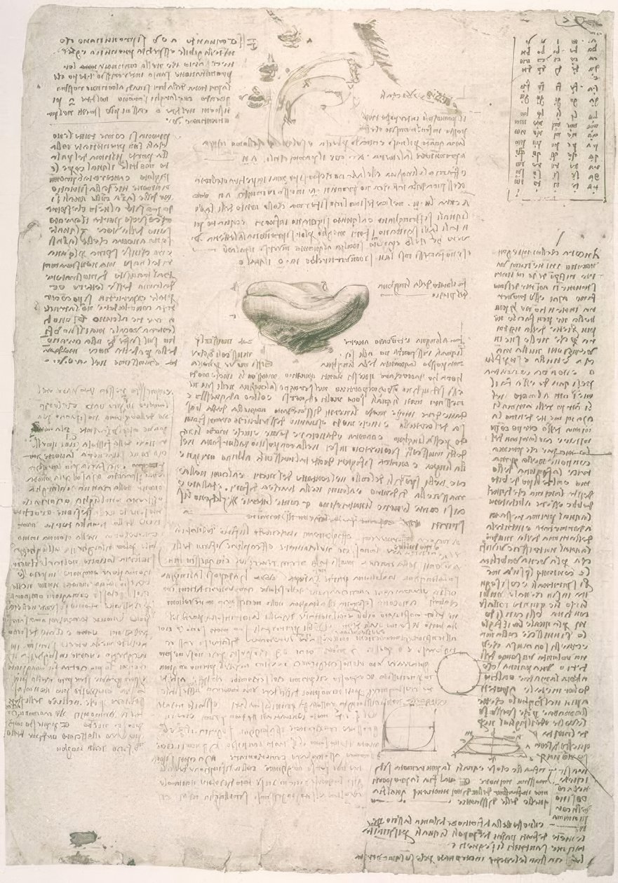 解剖学研究 作者 达芬奇（Leonardo da Vinci）
