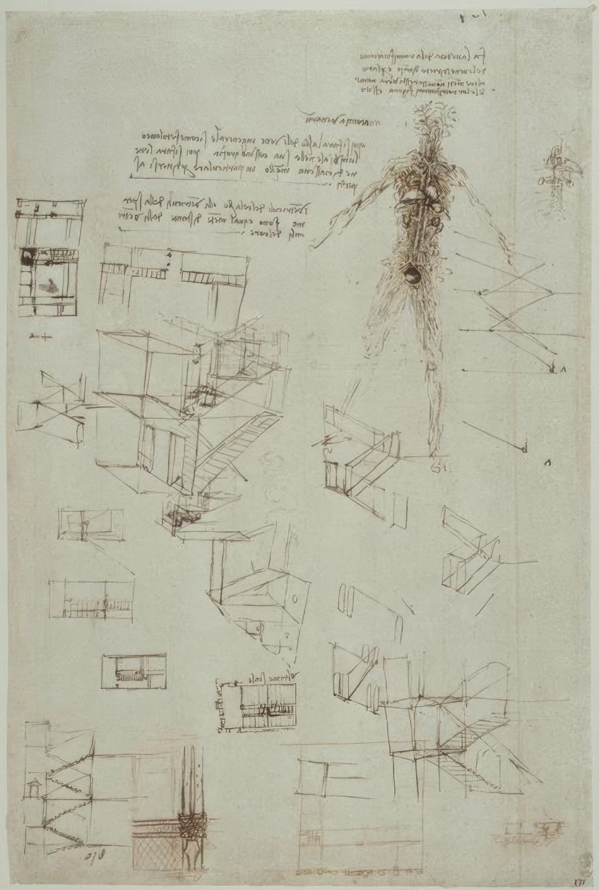解剖学研究 作者 达芬奇（Leonardo da Vinci）