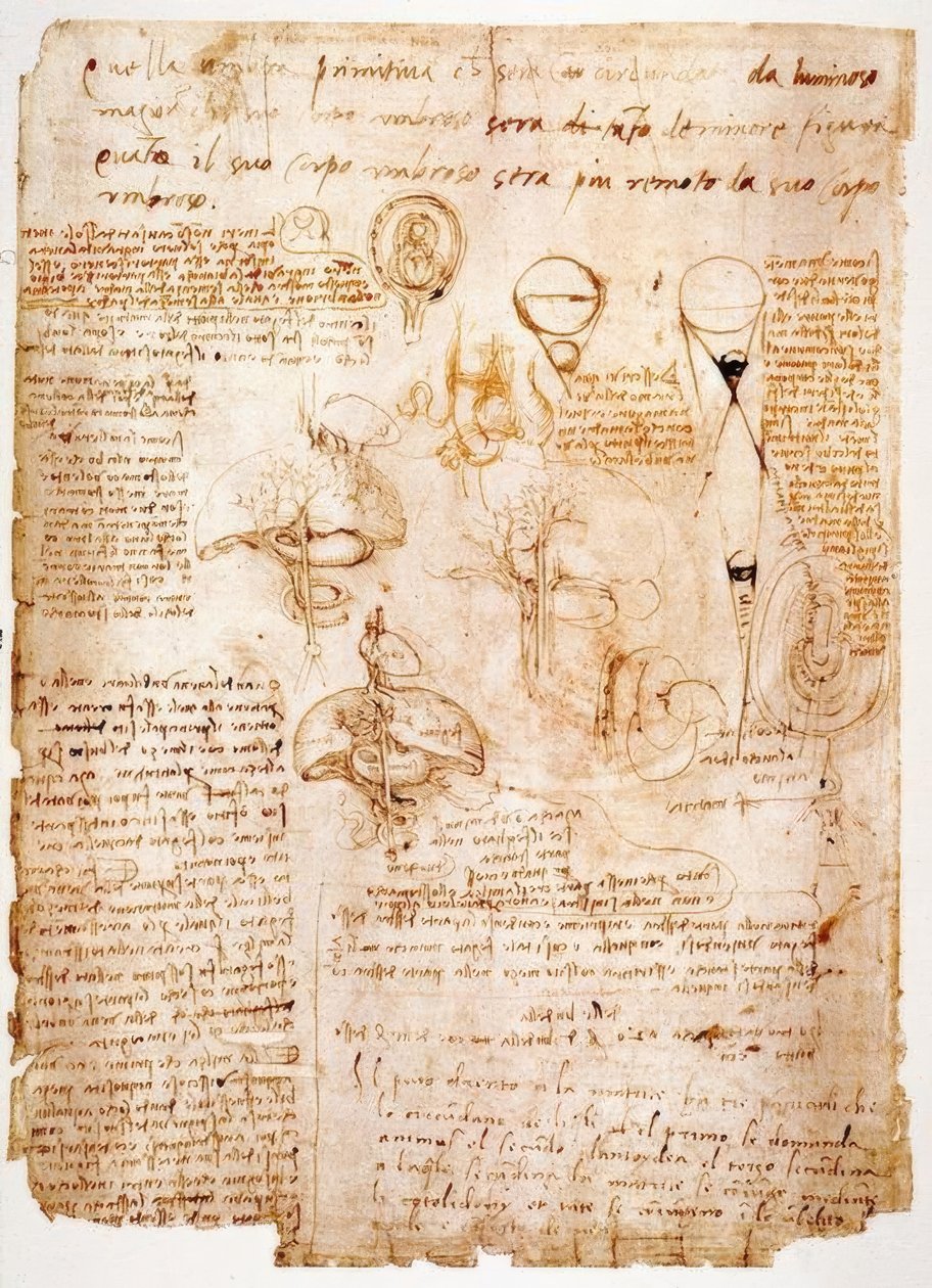 解剖学研究：腹部器官... 作者 达芬奇（Leonardo da Vinci）