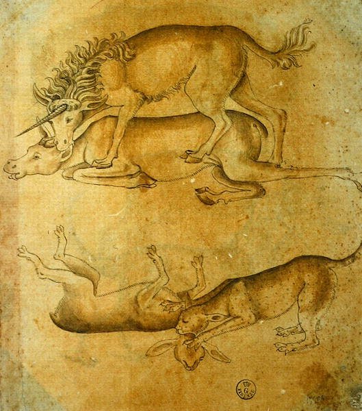 动物（纸上钢笔、墨水和水彩画） 作者 达芬奇（Leonardo da Vinci）