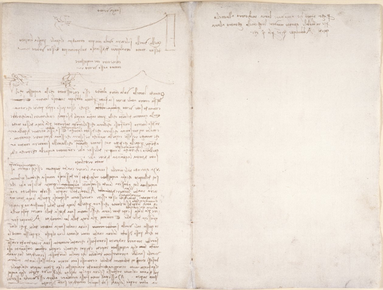 Arundel 263，f.166v，f.163 关于鸟类飞行的注释和图表，出自《阿伦德尔法典》，约 1500-5 年（纸上钢笔和墨水） 作者 达芬奇（Leonardo da Vinci）