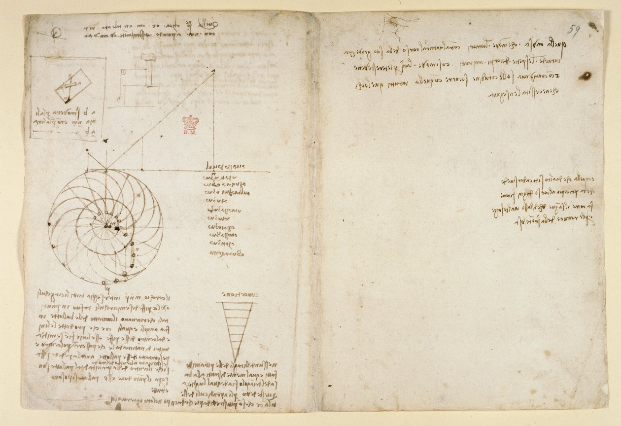 Arundel 263，f.44v，f.59 一张脸部轮廓的眼睛和鼻子素描；关于水的注释，选自 "Codex Arundel"（纸上的钢笔和墨水）。 作者 达芬奇（Leonardo da Vinci）
