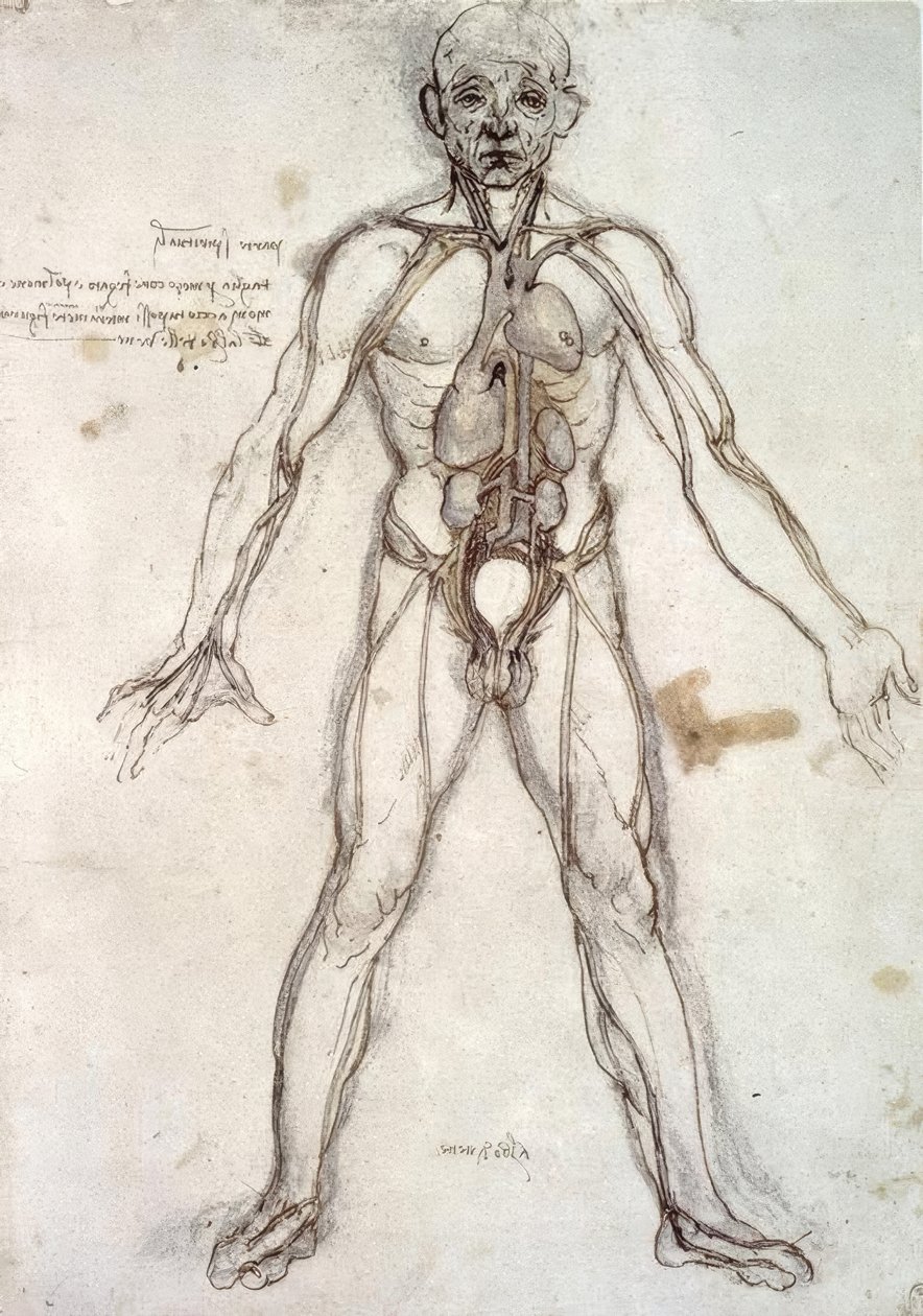 船只之树 作者 达芬奇（Leonardo da Vinci）