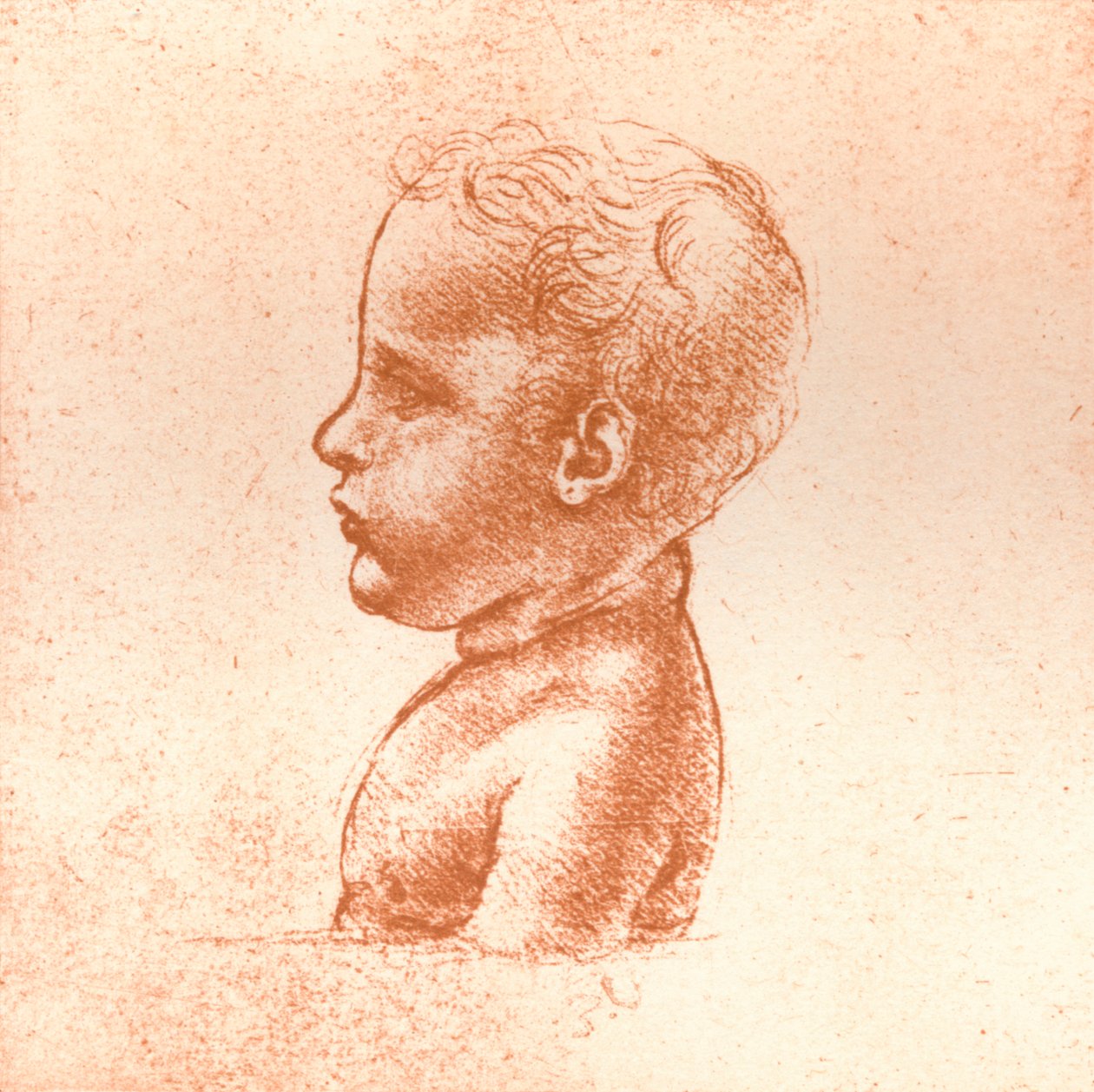男孩的胸像，c1472-c1519 1883 作者 达芬奇（Leonardo da Vinci）