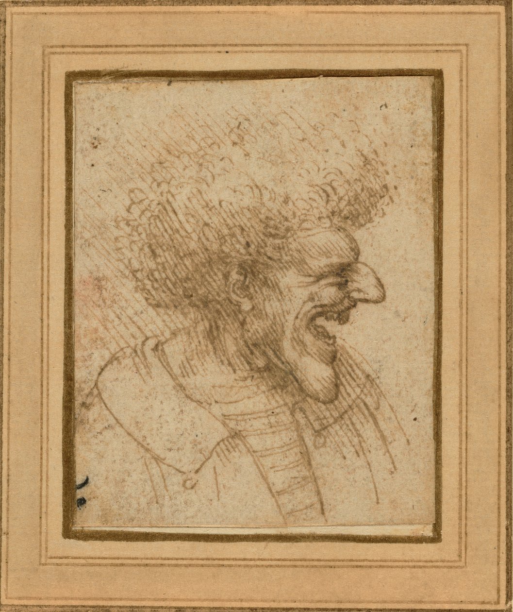浓密头发男子的漫画 作者 达芬奇（Leonardo da Vinci）