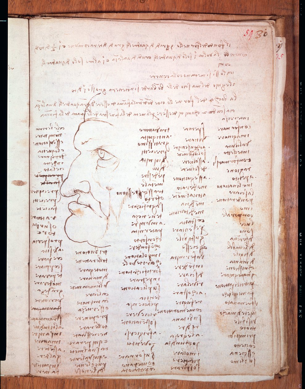 莱昂纳多·达·芬奇 (Leonardo da Vinci) (1452 - 1519) - Trivulziana 图书馆，米兰的 Codex Trivulziano 作者 达芬奇（Leonardo da Vinci）