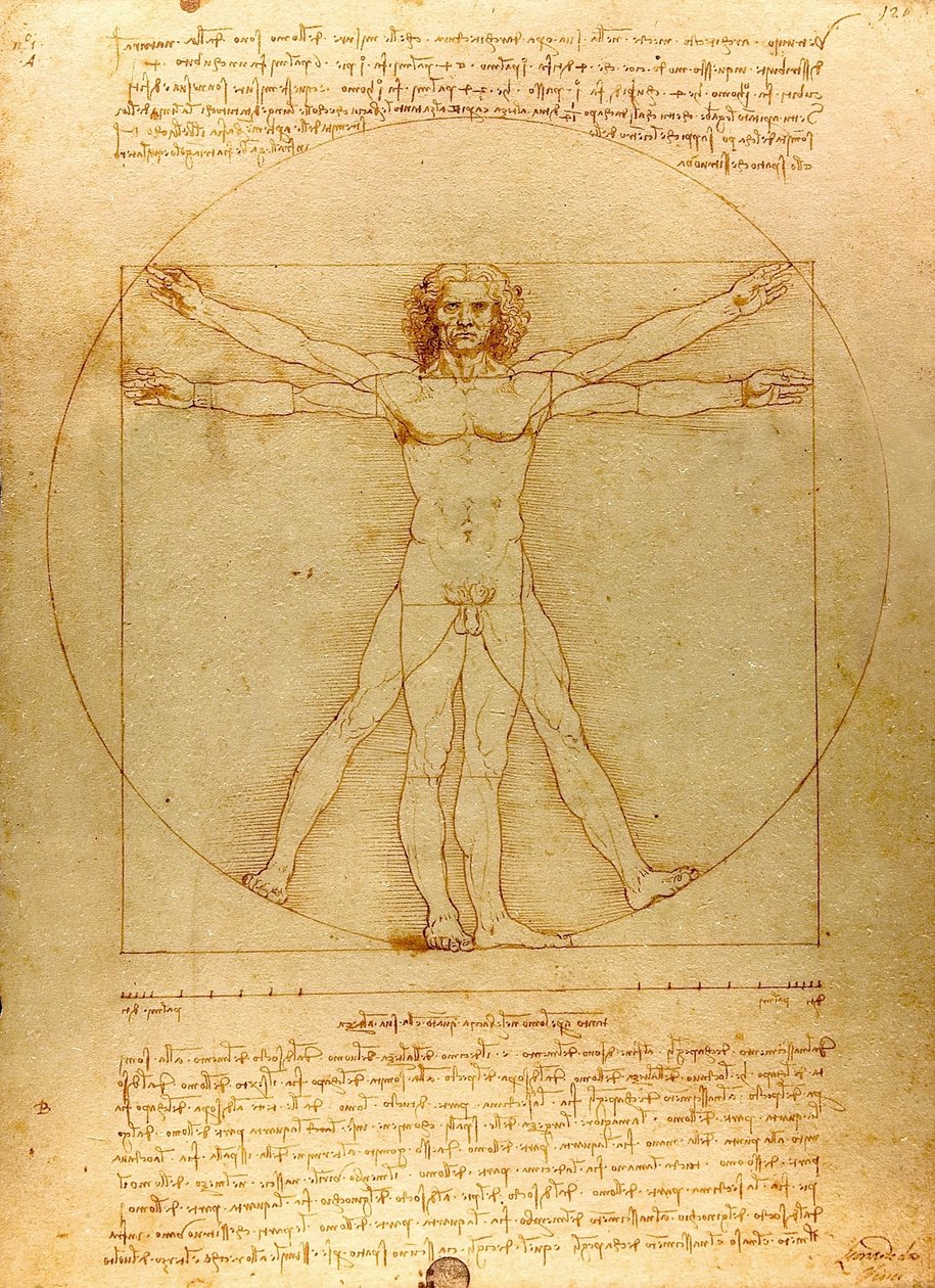 达芬奇-维特鲁夫-吕克-维亚图尔（剪裁） 作者 达芬奇（Leonardo da Vinci）