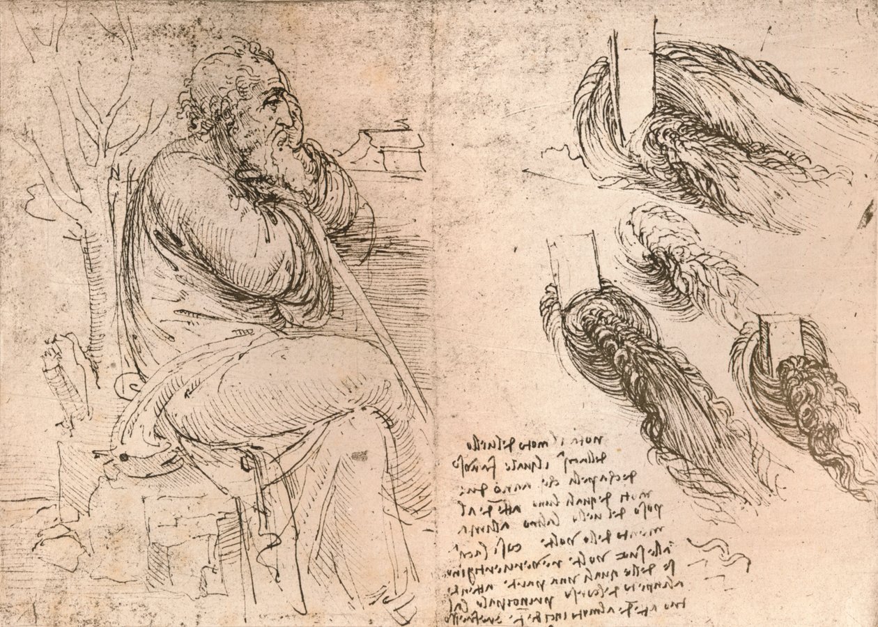 图解说明掉落在卷发中的头发的图示，c1472-c1519 1883 作者 达芬奇（Leonardo da Vinci）
