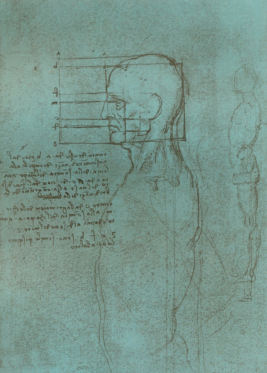 该图说明了人物比例的理论，c1472-c1519 1883。 作者 达芬奇（Leonardo da Vinci）