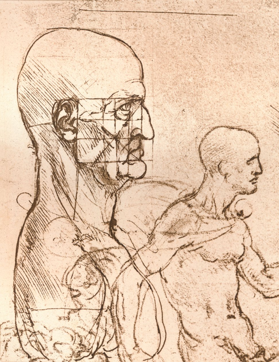 图示说明人类比例理论的图，c1472-c1519 1883 作者 达芬奇（Leonardo da Vinci）