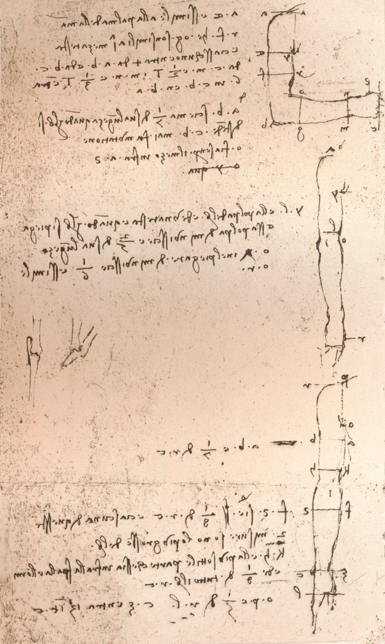 图示人类比例理论的图，c1472-c1519 1883 作者 达芬奇（Leonardo da Vinci）