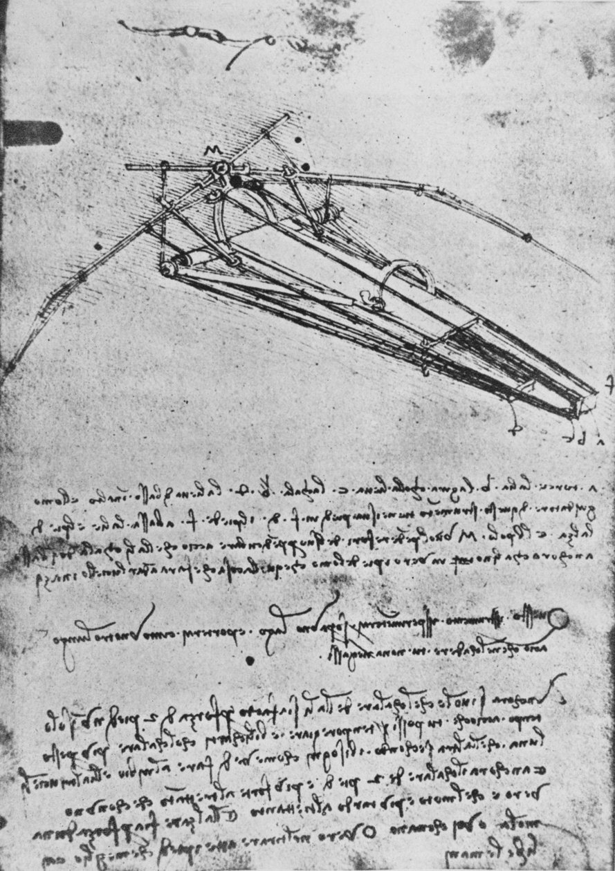 飞行机器图纸，c1480 1945 作者 达芬奇（Leonardo da Vinci）