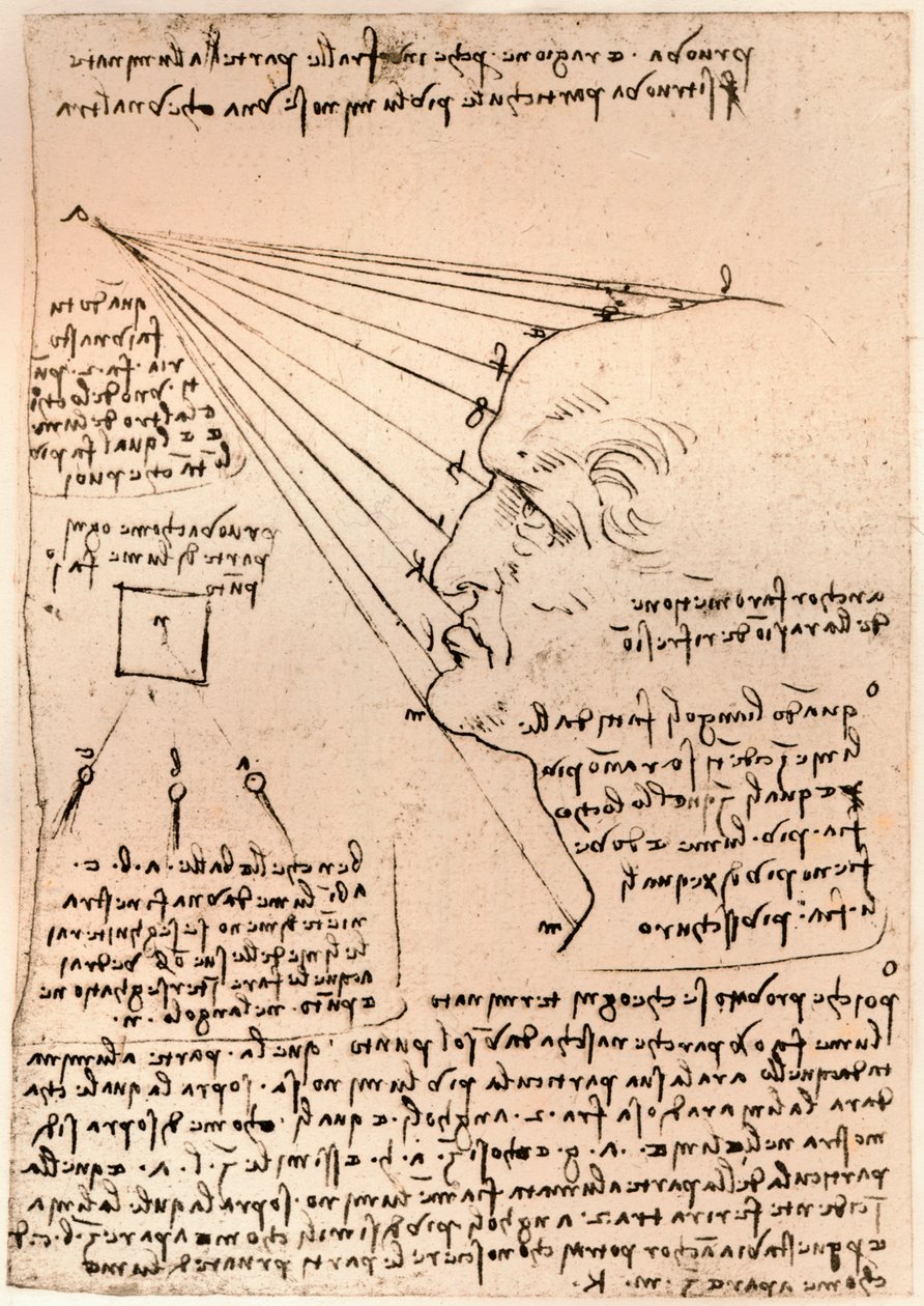 男性头像的绘画，描绘绘画的作法，c1472-c1519 1883 作者 达芬奇（Leonardo da Vinci）