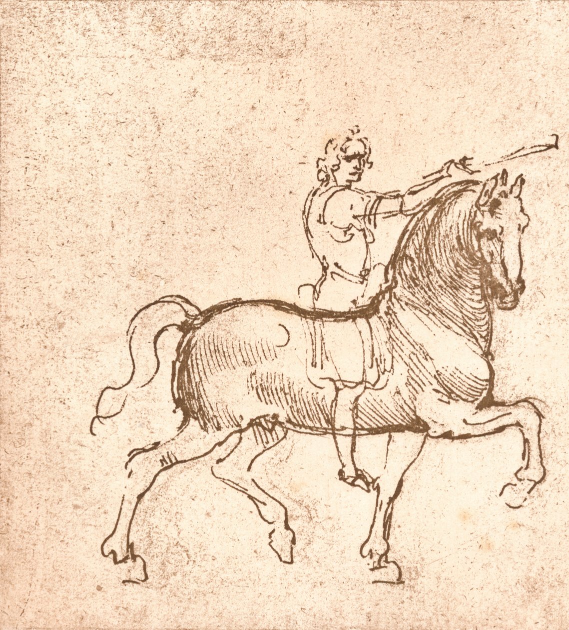 步行马的绘画，c1472-c1519 1883 作者 达芬奇（Leonardo da Vinci）