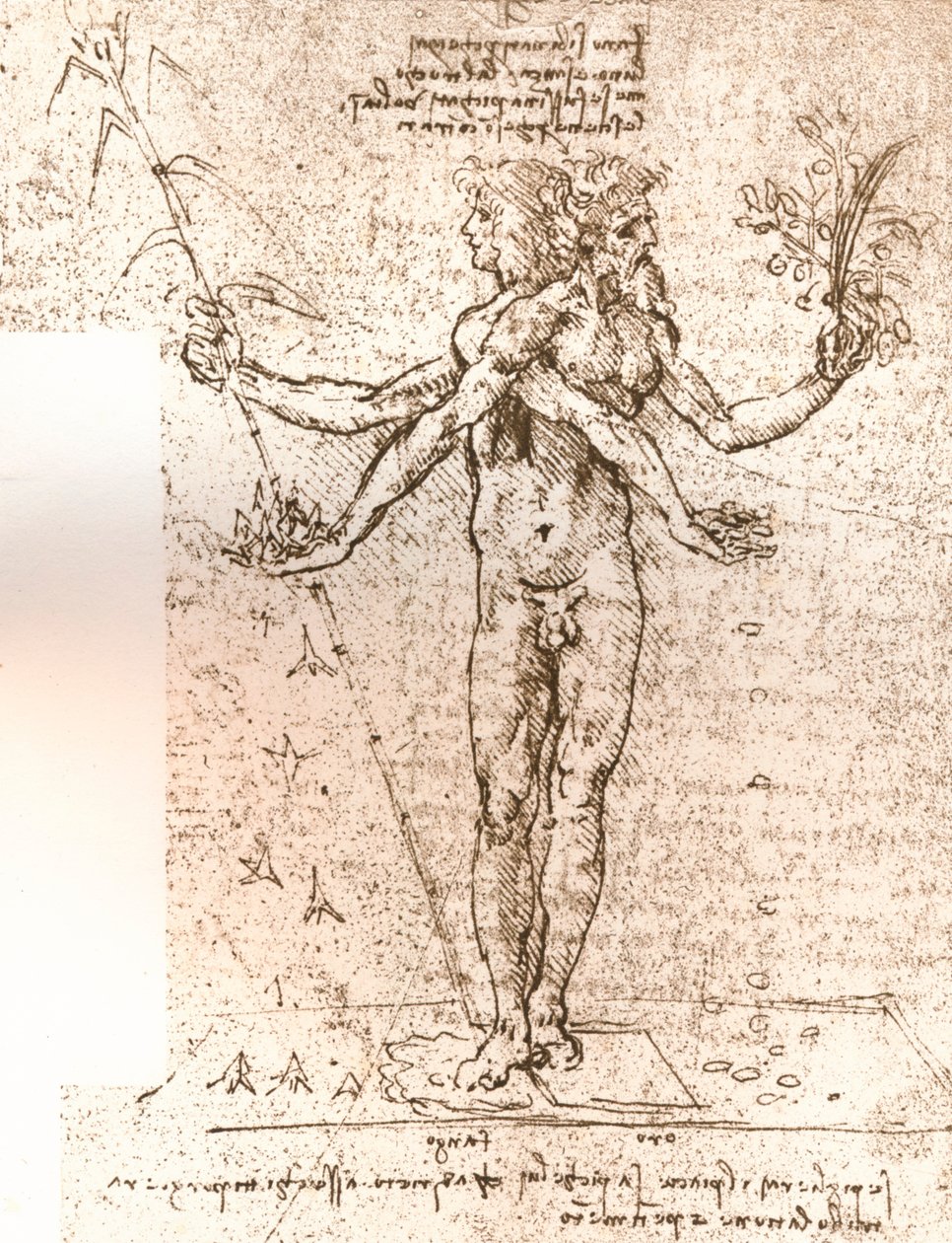 寓言构图的绘图，c1472-c1519 1883 作者 达芬奇（Leonardo da Vinci）