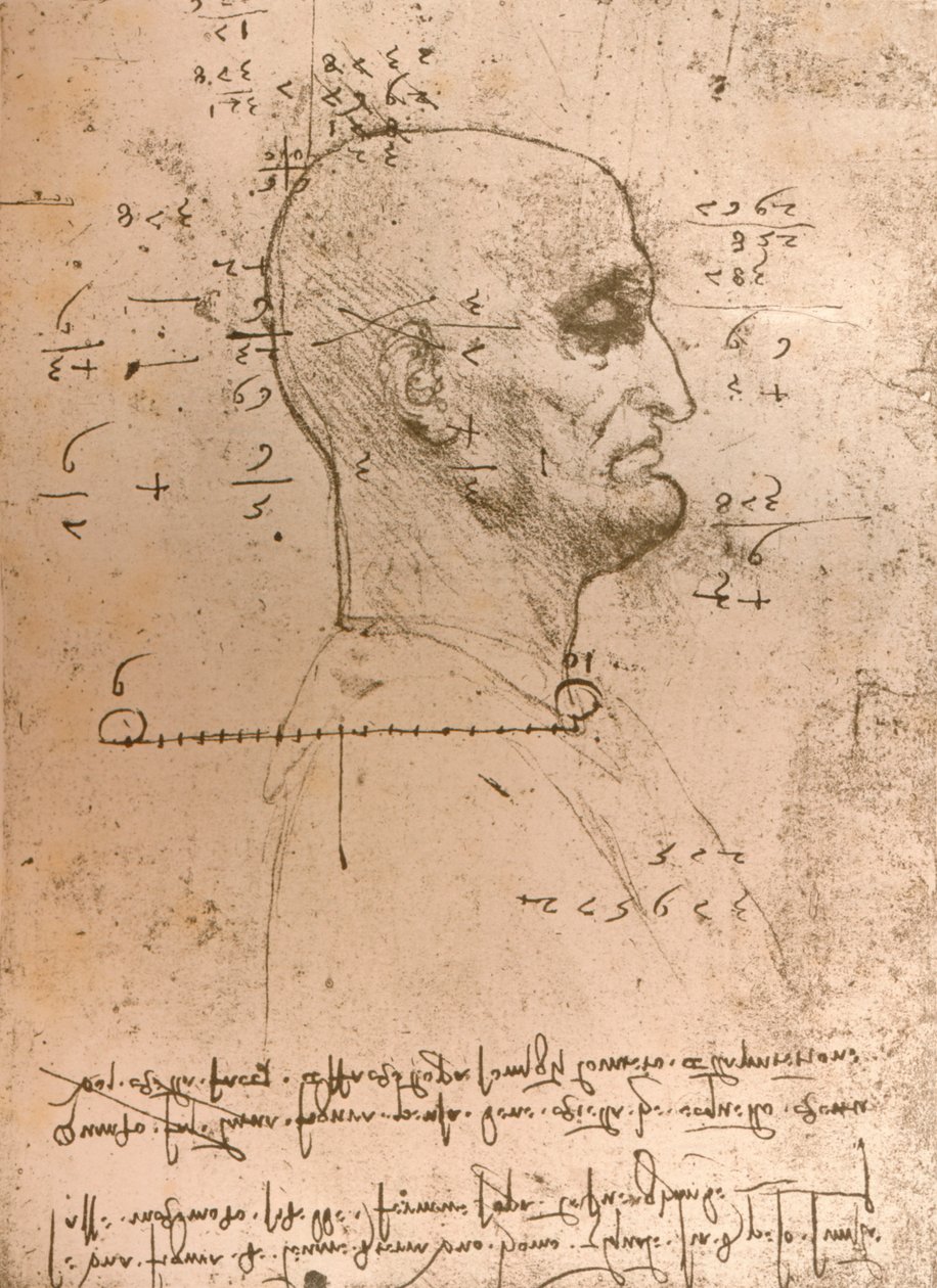 罪犯头像的绘制，c1472-c1519 1883 作者 达芬奇（Leonardo da Vinci）