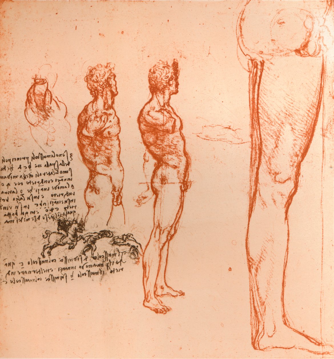 展示人物运动和战士战斗的图纸，c1472-c1519 1883 作者 达芬奇（Leonardo da Vinci）