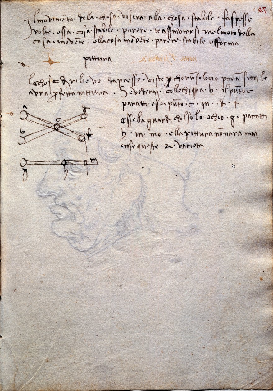 摘自《Trivulzianus 手抄本》画册 作者 达芬奇（Leonardo da Vinci）