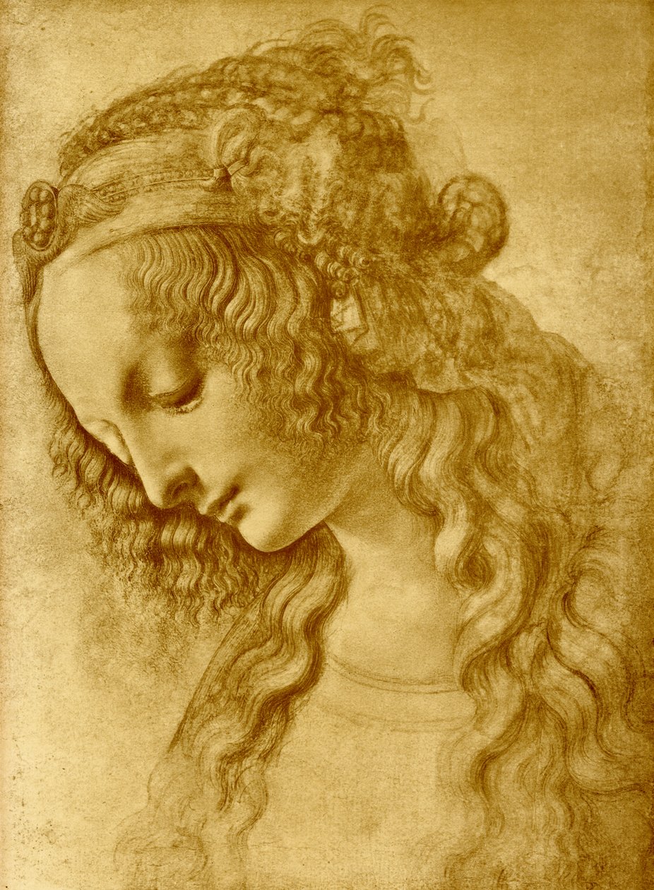 女头 作者 达芬奇（Leonardo da Vinci）