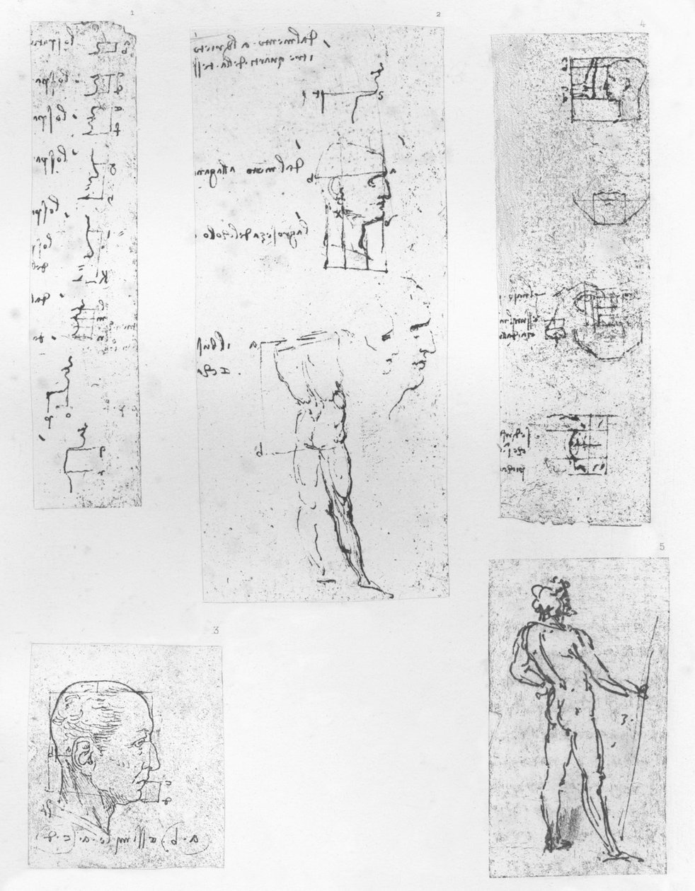 五幅插图，描绘了人类比例理论，c1472-c1519 1883 作者 达芬奇（Leonardo da Vinci）