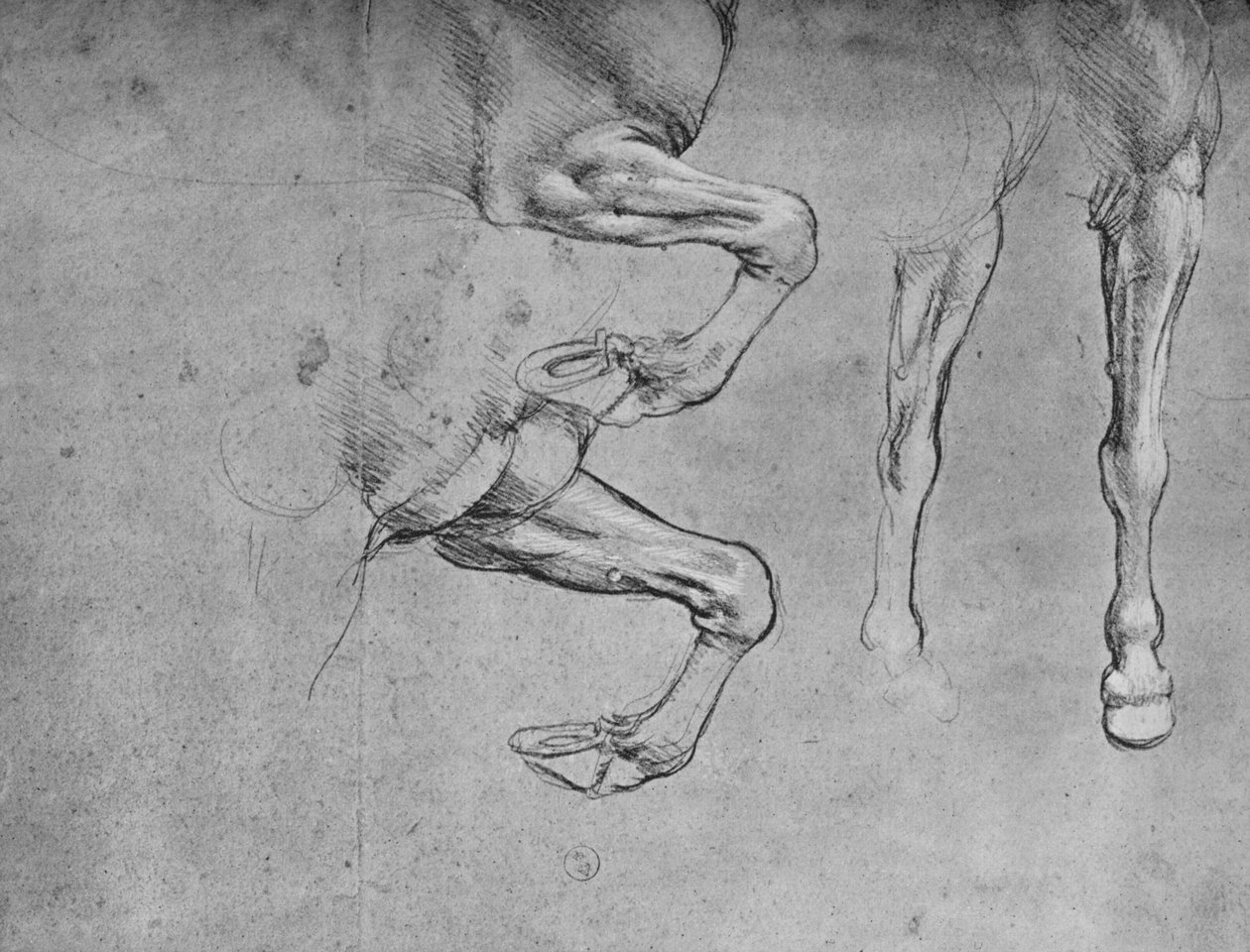 马腿四研究，c1480 1945年 作者 达芬奇（Leonardo da Vinci）
