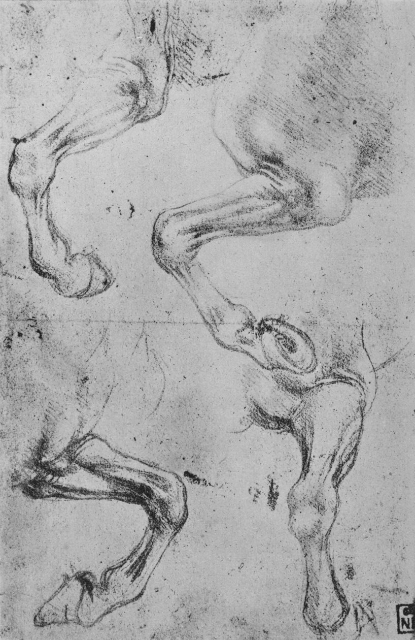 马腿四研究，c1480 1945年 作者 达芬奇（Leonardo da Vinci）