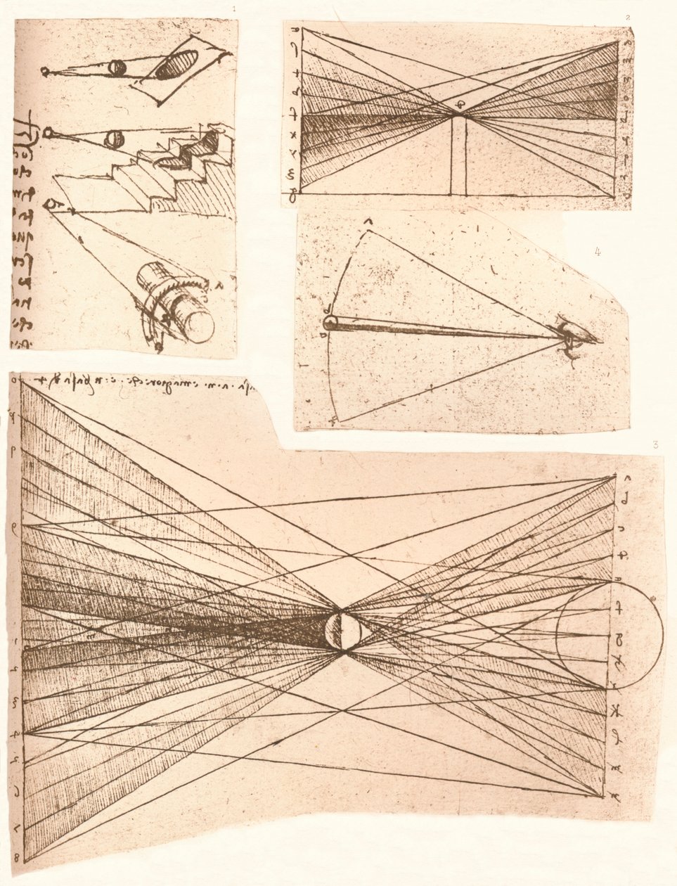 四张图说明了明暗理论，c1472-c1519 1883。 作者 达芬奇（Leonardo da Vinci）