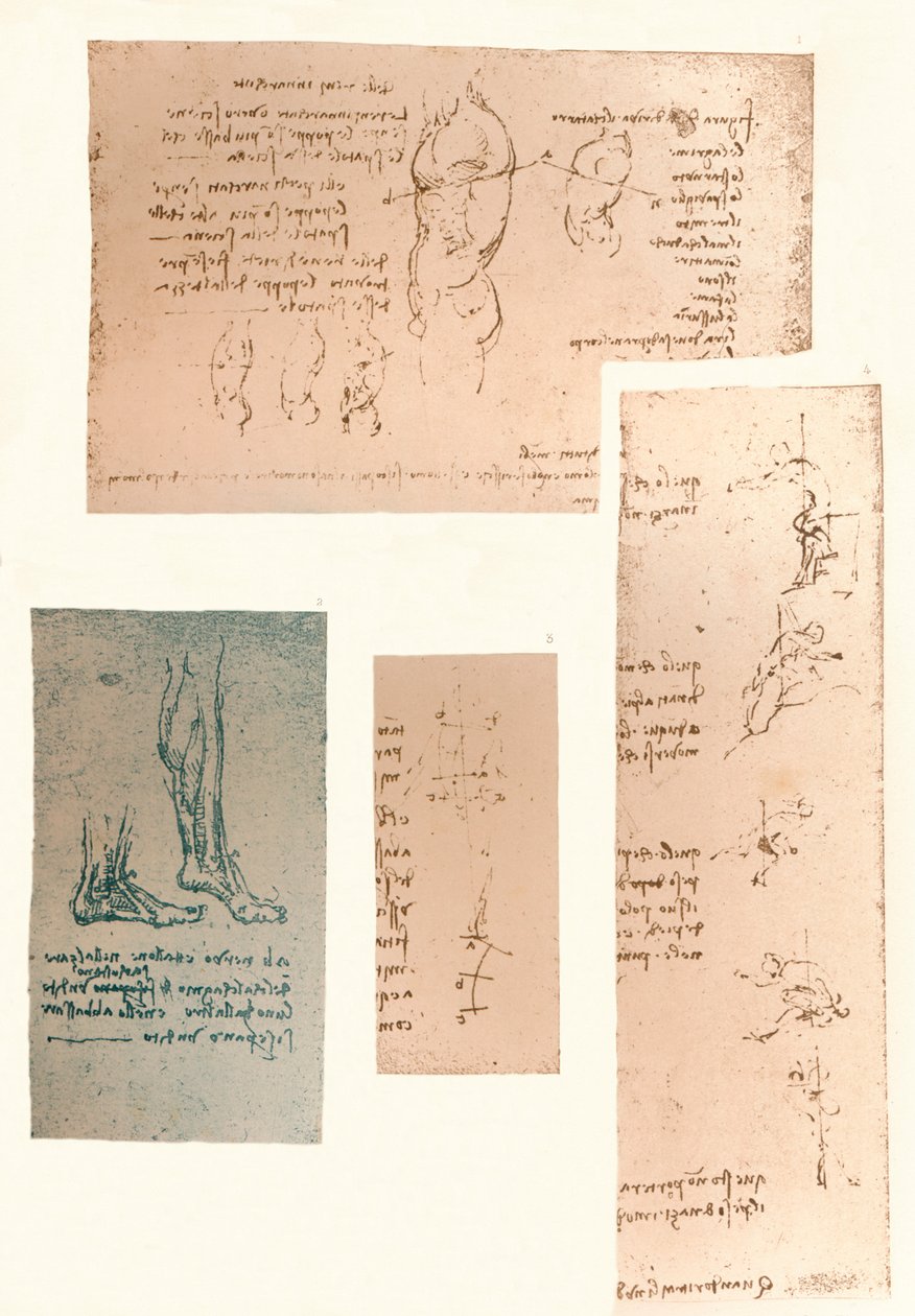 四幅插图，描绘了人体运动理论，c1472-c1519 1883 作者 达芬奇（Leonardo da Vinci）