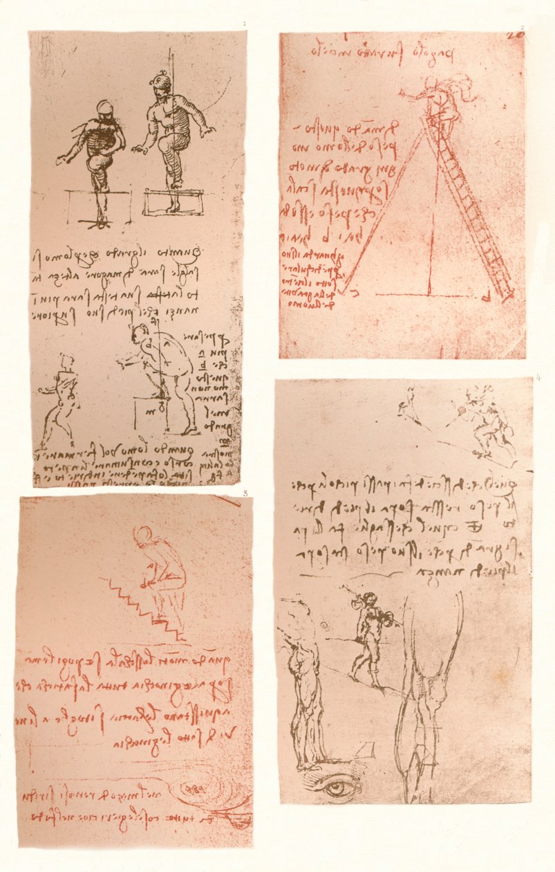 四幅插图，描绘了人体运动理论，c1472-c1519 1883 作者 达芬奇（Leonardo da Vinci）
