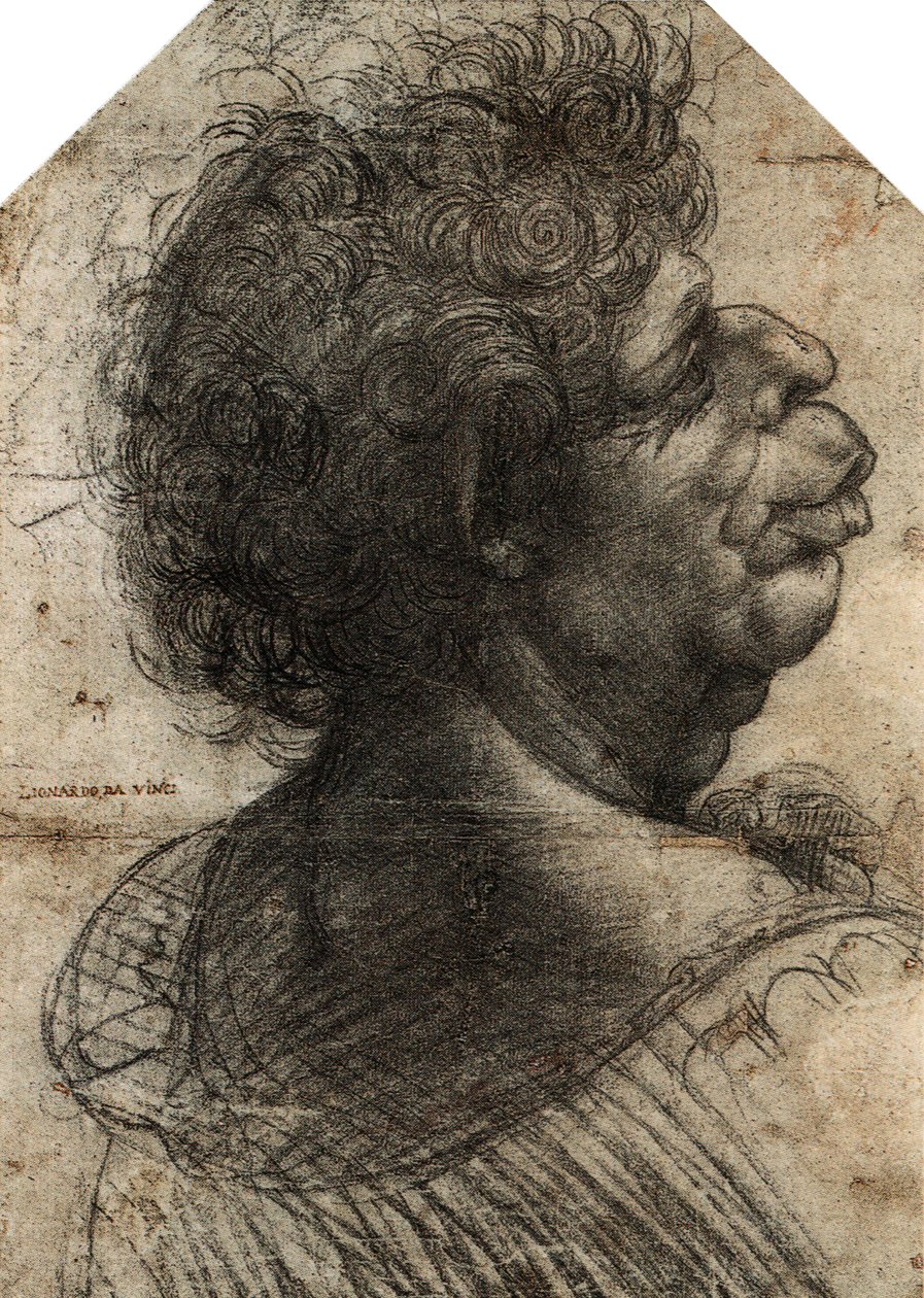 法语：Tête grotesque 怪诞的头颅 作者 达芬奇（Leonardo da Vinci）