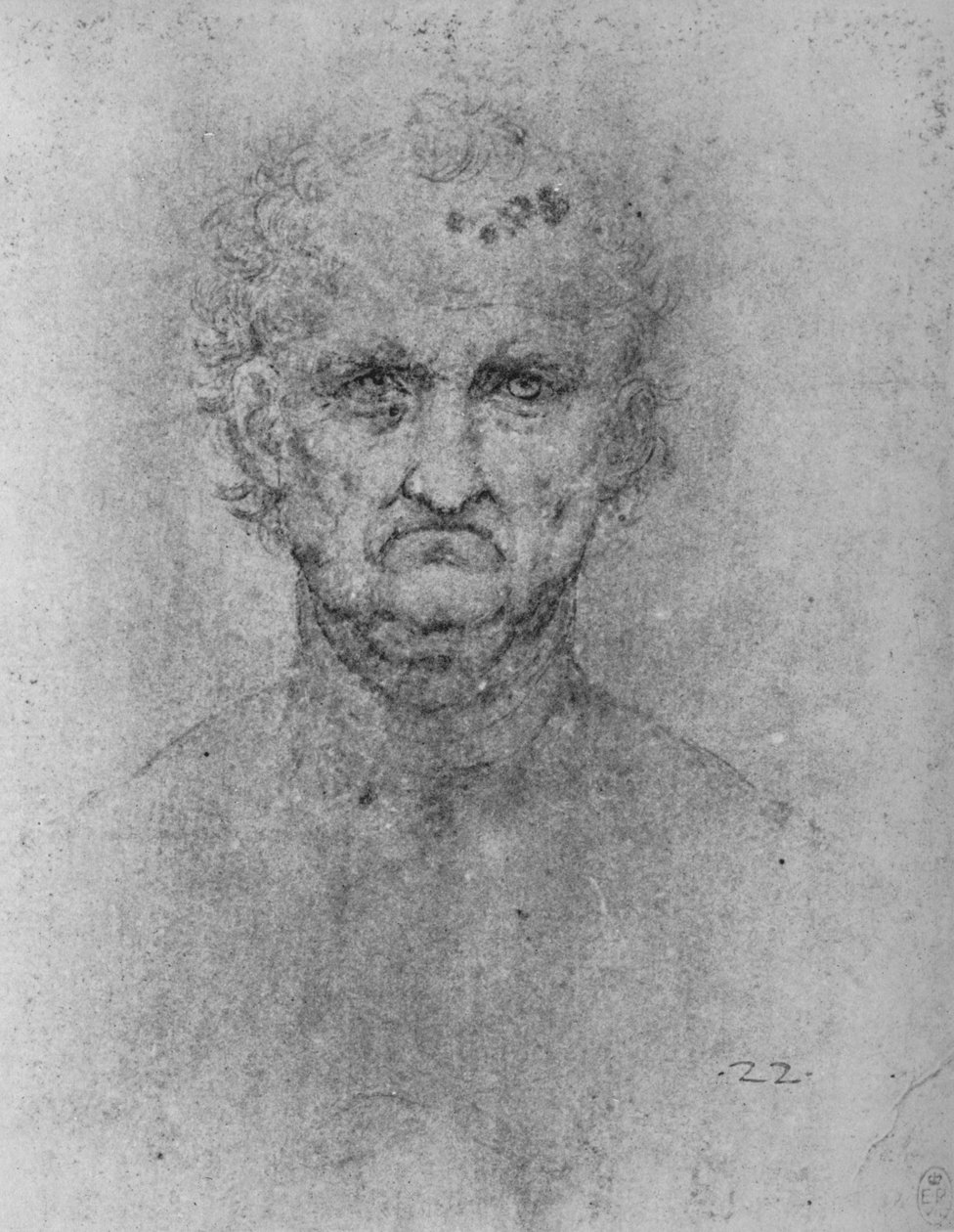 全脸的老头，c1480 1945 作者 达芬奇（Leonardo da Vinci）