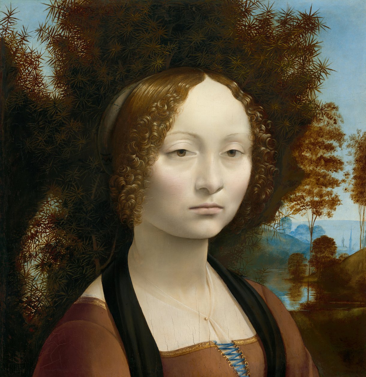 吉娜芙拉-德-本奇 作者 达芬奇（Leonardo da Vinci）