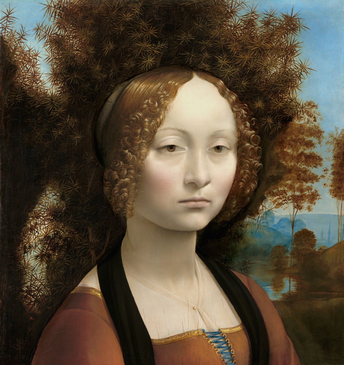 Ginevra de&39;Benci，c。 1474-78（面板上的油） 作者 达芬奇（Leonardo da Vinci）