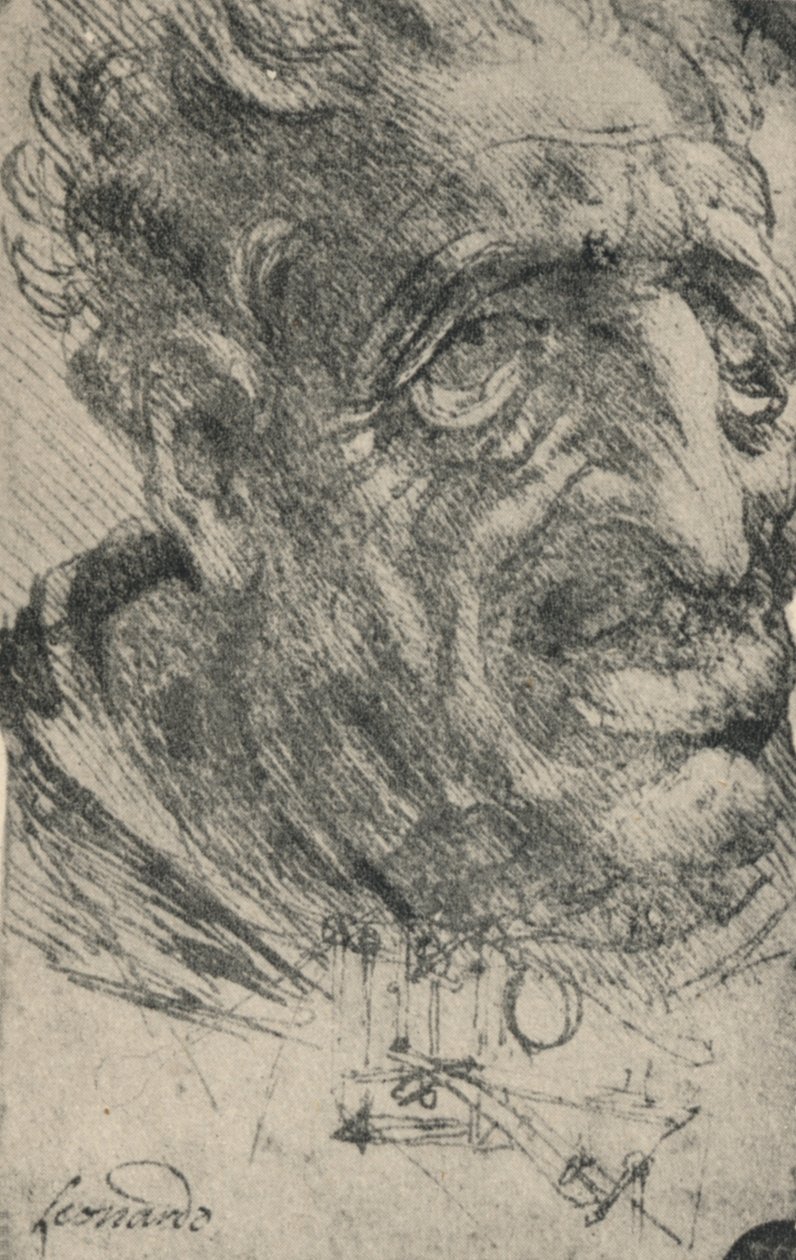 一个人的怪异头向右转三个季度，c1480 1945 作者 达芬奇（Leonardo da Vinci）