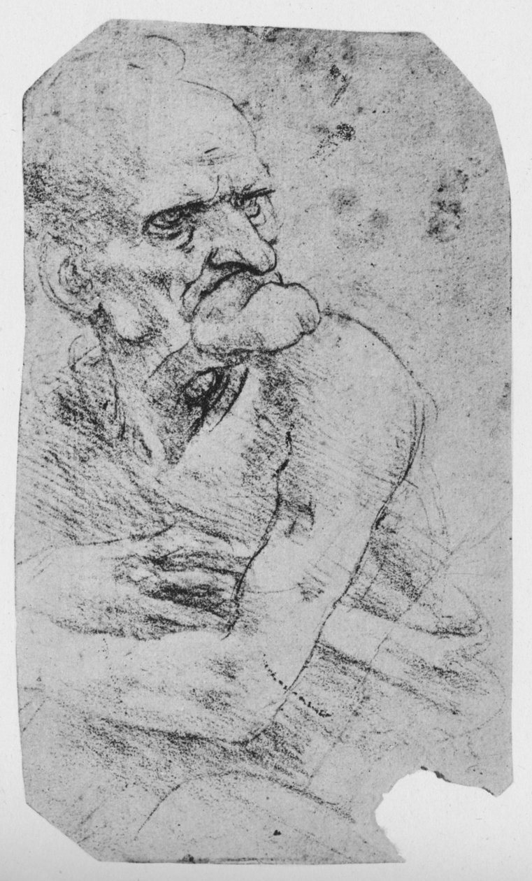 下巴突出的老人的半身漫画，c1480 1945年 作者 达芬奇（Leonardo da Vinci）