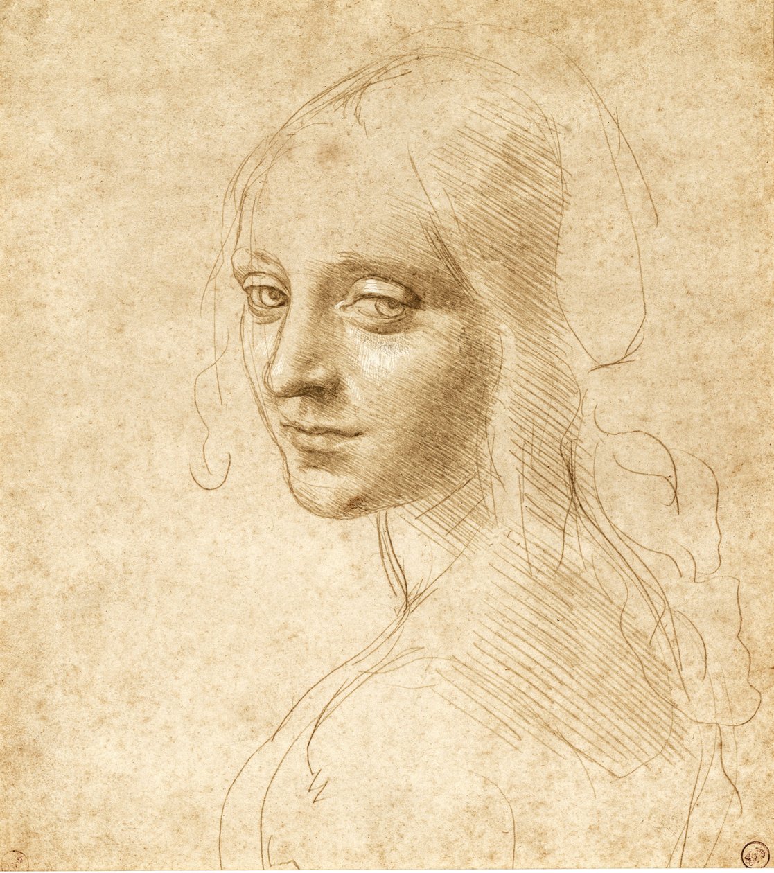 一个女孩的头和肩膀c。 1490。 作者 达芬奇（Leonardo da Vinci）