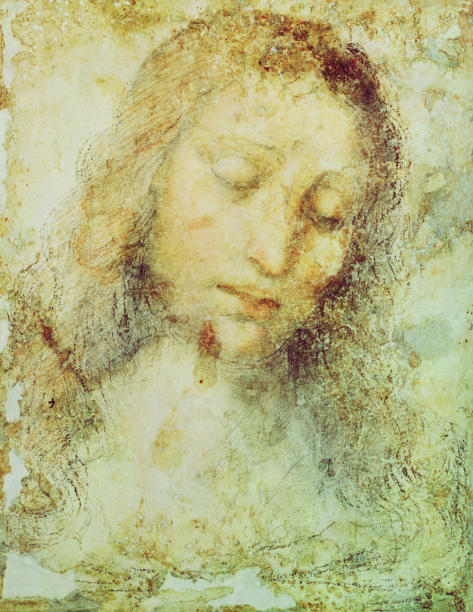 基督的头（铅笔和洗） 作者 达芬奇（Leonardo da Vinci）