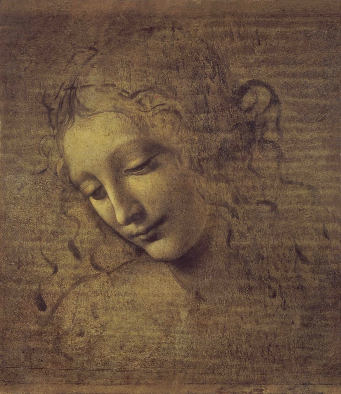 女人头像 拉-斯卡皮利亚塔，15世纪 作者 达芬奇（Leonardo da Vinci）