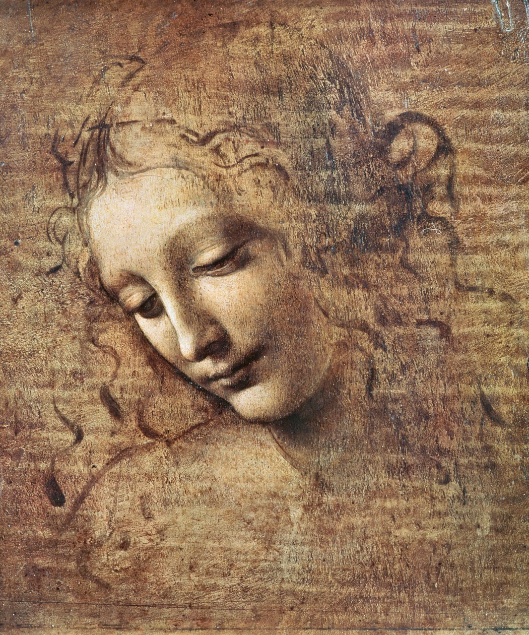 凌乱的头发或者Leda（木头上的水粉）的年轻女子的头 作者 达芬奇（Leonardo da Vinci）
